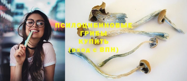 таблы Алексин