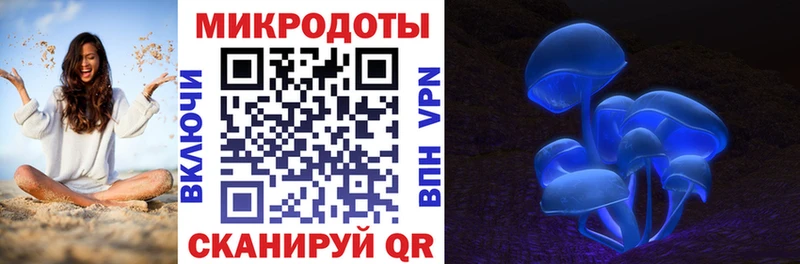 Галлюциногенные грибы Cubensis Талица